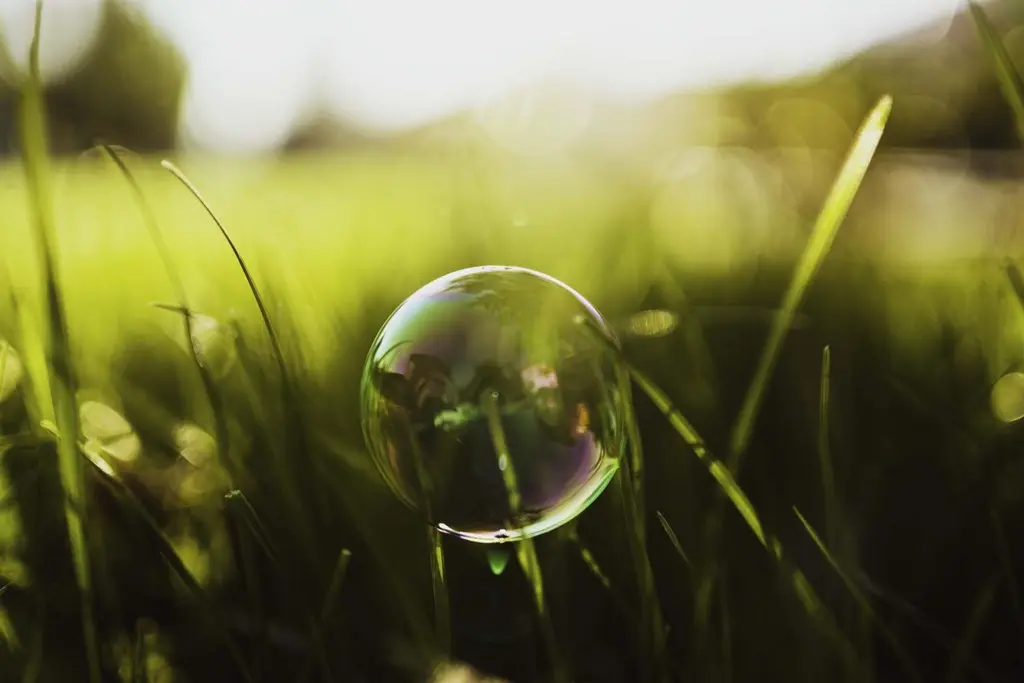 Soap bubble resting in green grass representing eco-friendly cleaning in Maidstone