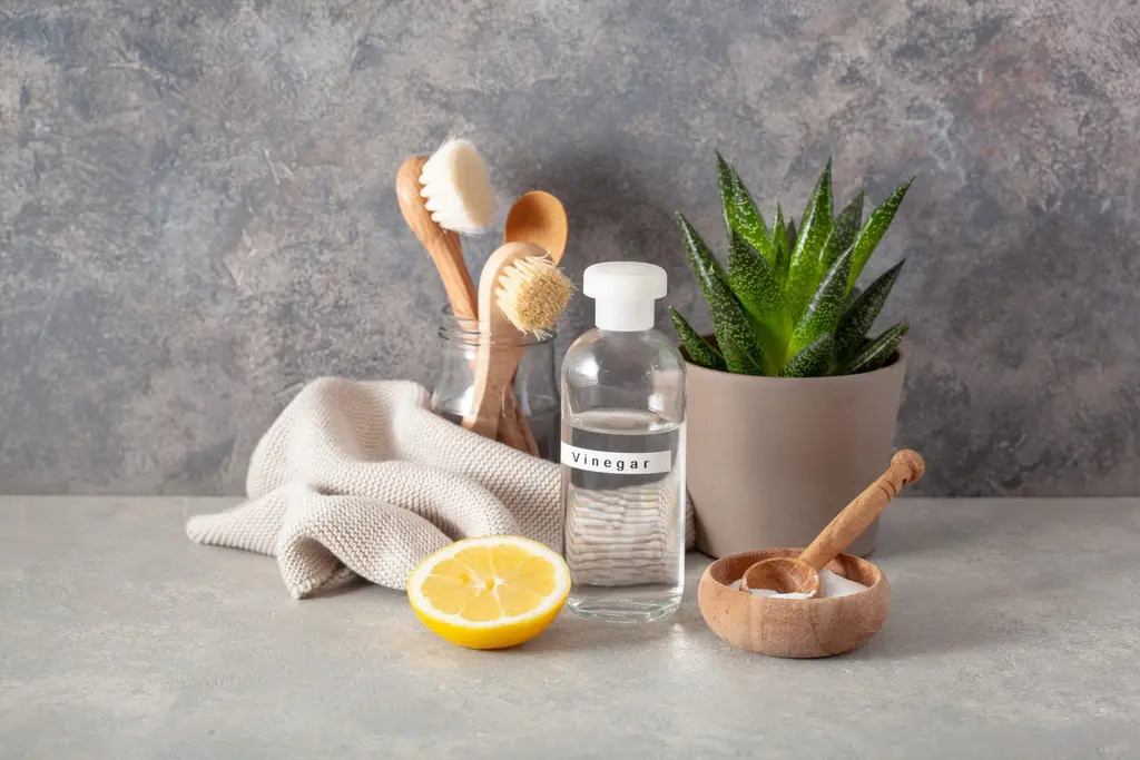 Eco-friendly wooden cleaning brushes, glass bottle and lemon used by Cleaning With Meaning in Maidstone